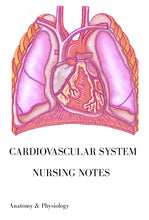 Load image into Gallery viewer, Cardiovascular System Nursing Notes -A&P (34 pages)